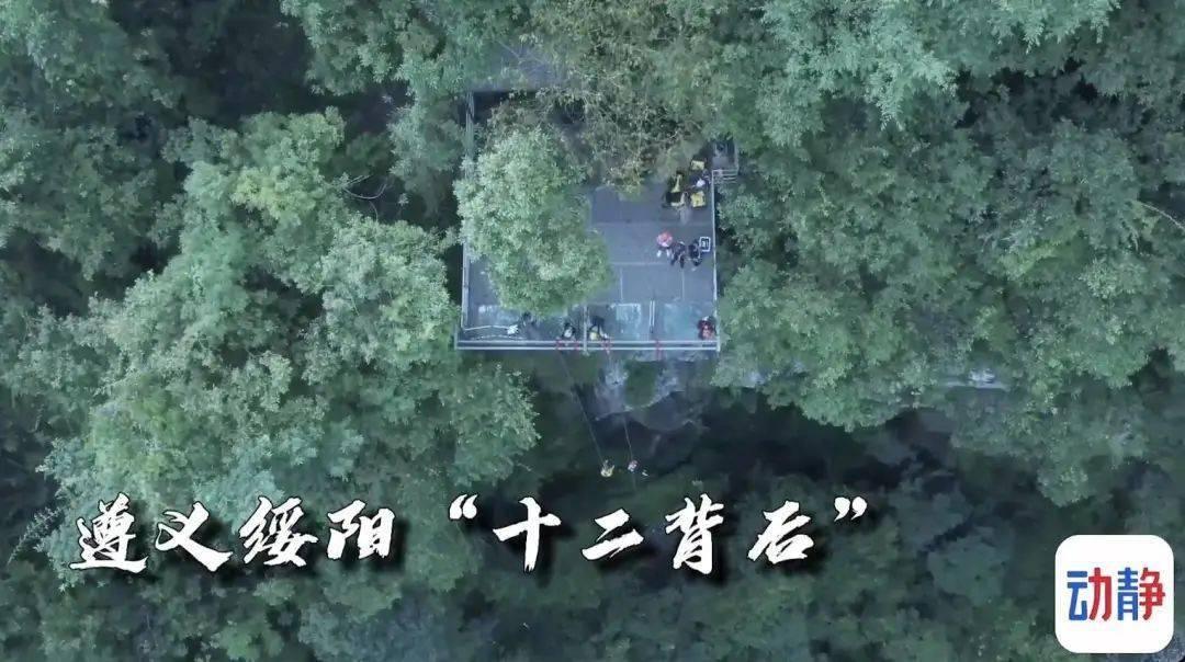 人大代表朱列玉建议取消“醉驾入刑”，为何大多民众不支持？游戏画面