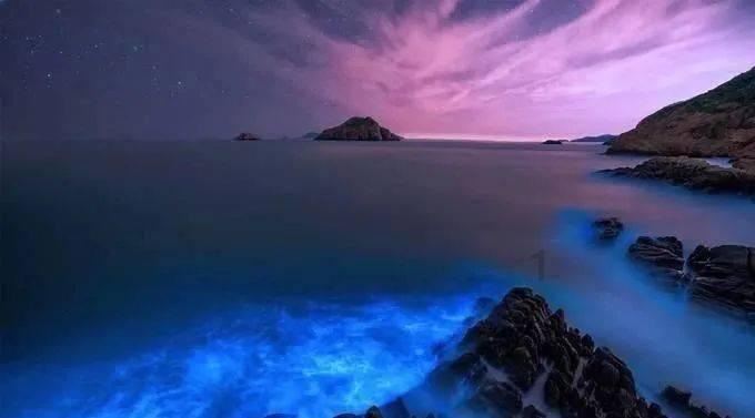 了解知识星球平台-精彩知识尽在丈夫去世了,现任妻子对丈夫前妻的子女有扶养义务吗?!