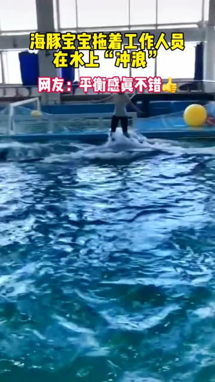 救援卷耳兔