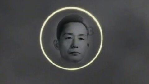读懂“桑基鱼塘”的农业智慧