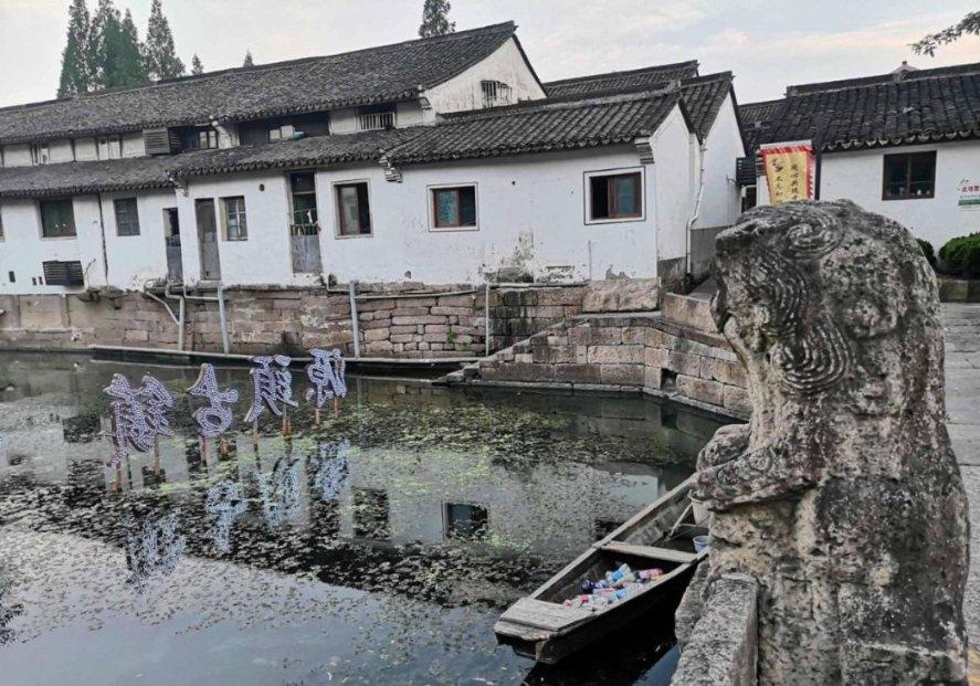 狐狸的旅程